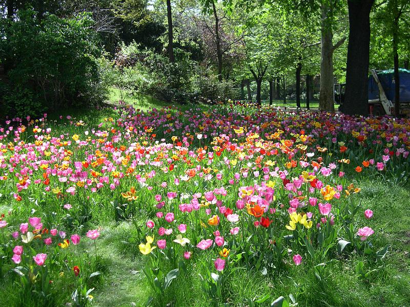 Paris (123).JPG
